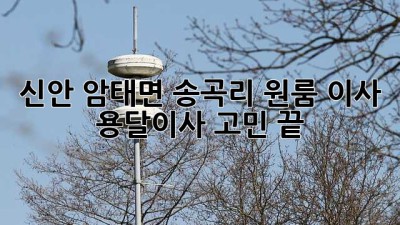 신안 암태면 송곡리 원룸 이사? 🚚 용달이사 고민 끝! 👍