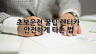 초보운전 꿀팁🍯 렌터카 안전하게 타는 법!